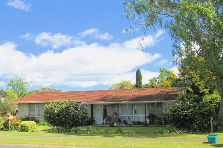 Photo of property in 53 Sheffield Street, Matamata, 3400
