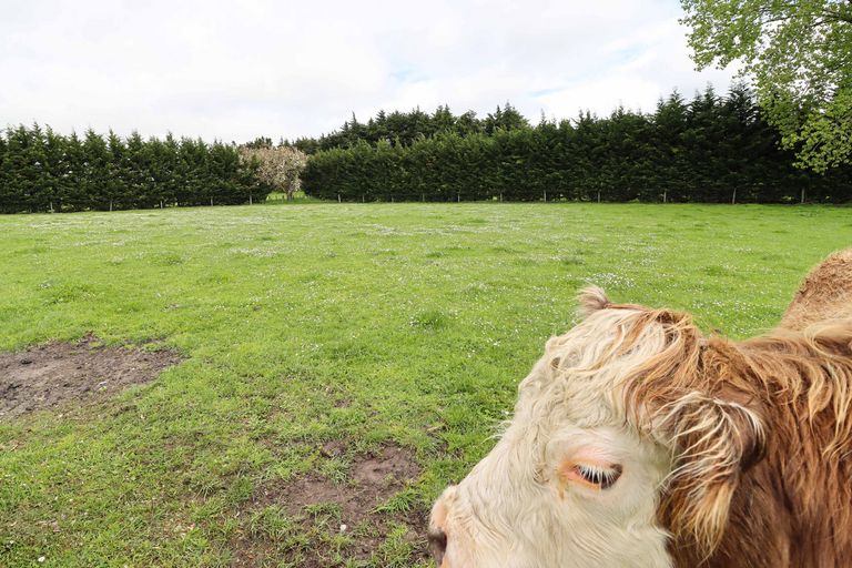 Photo of property in 119 Riversdale Road, Waihakeke, Carterton, 5792