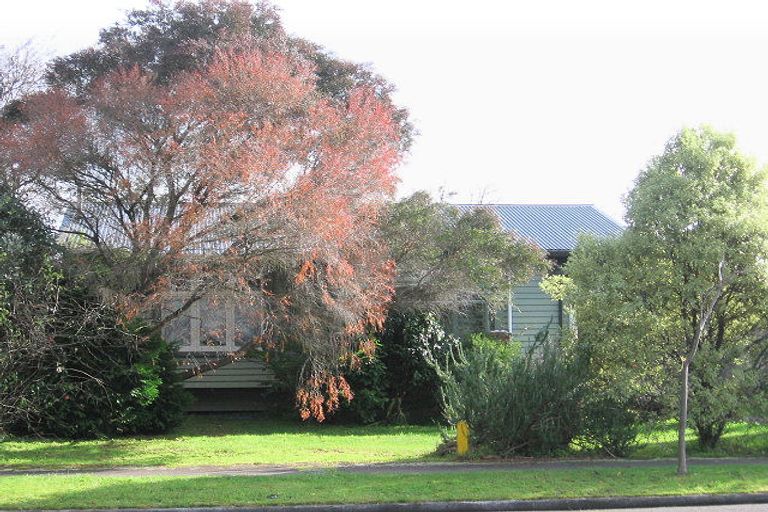 Photo of property in 93 Limbrick Street, Terrace End, Palmerston North, 4410