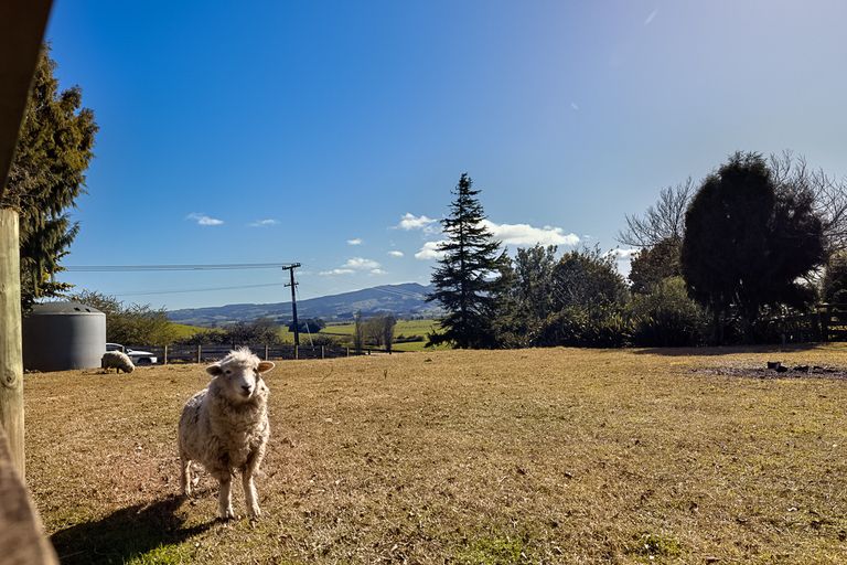 Photo of property in 1265 Pokuru Road, Te Kawa, Te Awamutu, 3873