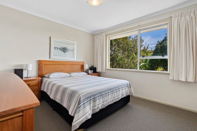 Photo of property in 29 Whakamarama Road, Whakamarama, Tauranga, 3179