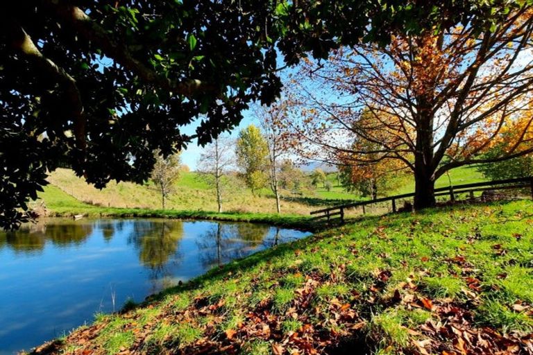 Photo of property in 4872 Ohaupo Road, Te Awamutu, Ohaupo, 3883