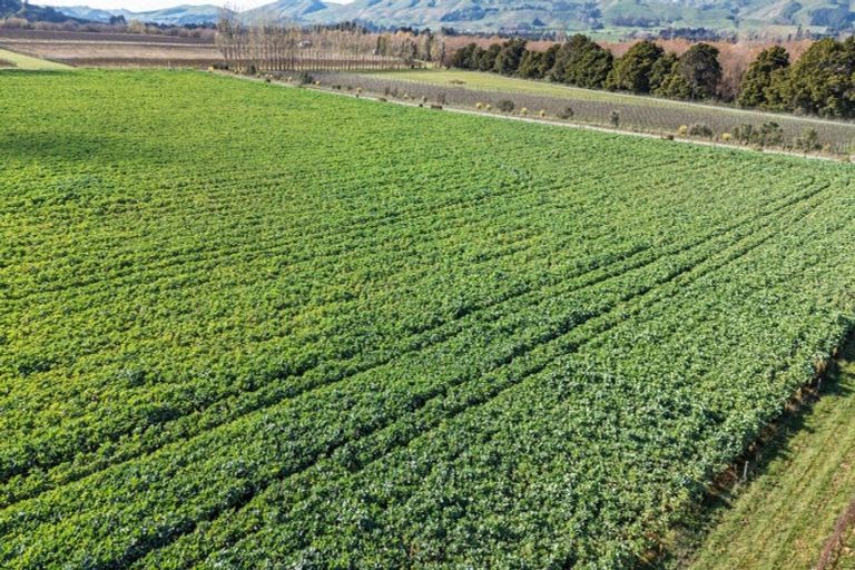 Photo of property in 20 Dakins Road, East Taratahi, Carterton, 5887