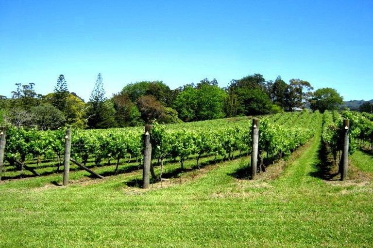 Photo of property in 38 Monarch-downs Way, Warkworth, 0982