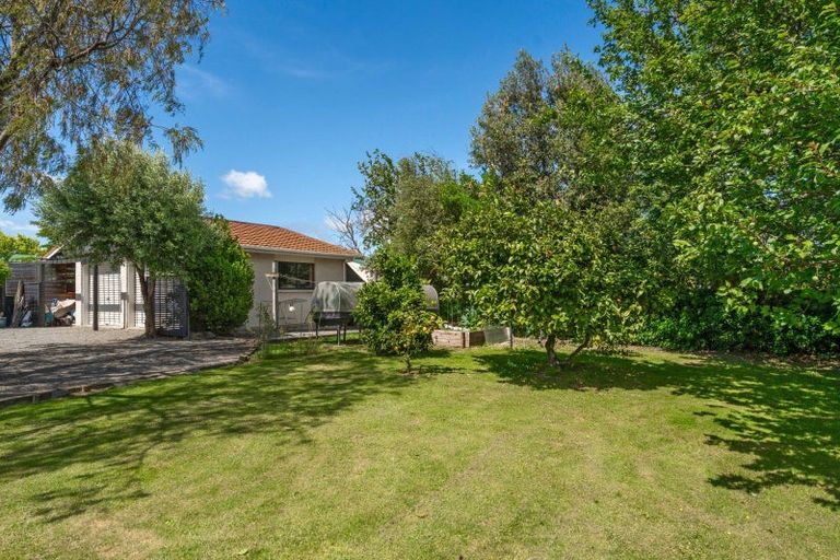 Photo of property in 84 Naples Street, Martinborough, 5711