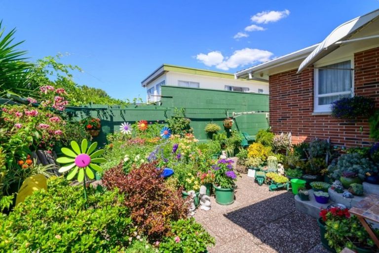Photo of property in 24a Toko Street, Victoria, Rotorua, 3010