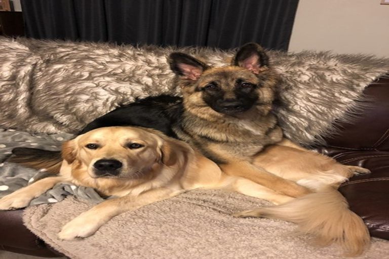 Photo of property in 145a Dickson Road, Papamoa Beach, Papamoa, 3118