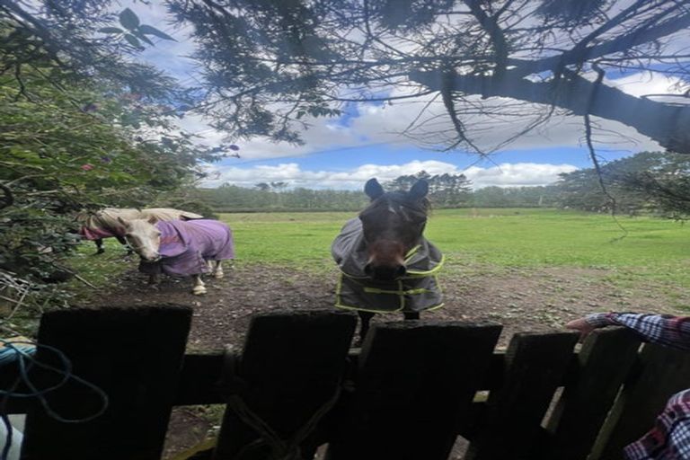 Photo of property in 155 Cuff Road, Patumahoe, Pukekohe, 2679