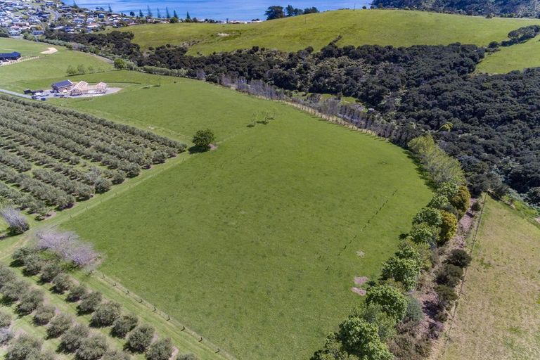 Photo of property in 478 Hihi Road, Hihi, Mangonui, 0494