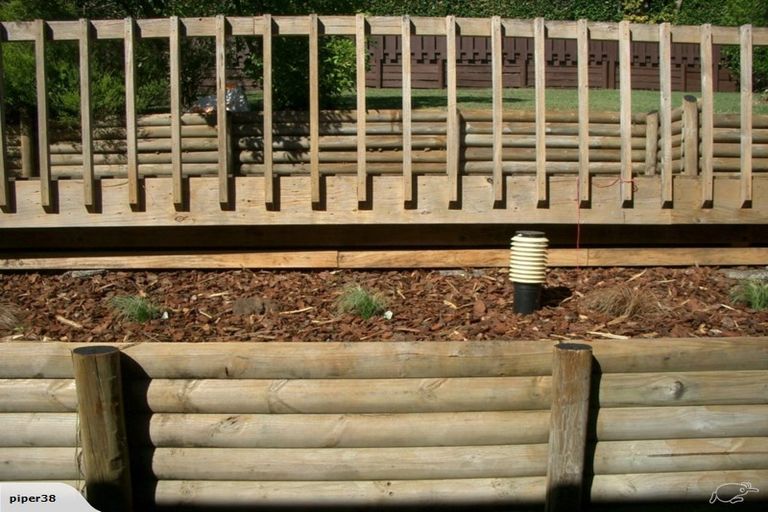 Photo of property in 75 Kennedy Avenue, Forrest Hill, Auckland, 0620