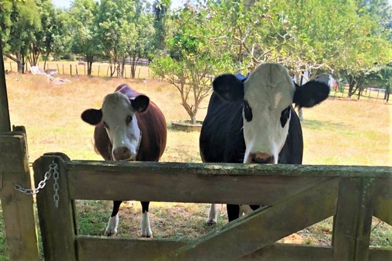 Photo of property in 1079 Taotaoroa Road, Karapiro, Cambridge, 3496