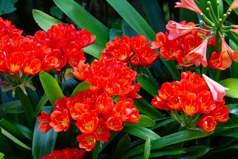 Photo of property in 475 Work Road, Whakamarama, Katikati, 3181