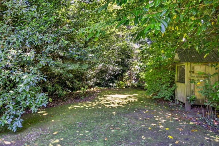 Photo of property in 42a Regan Street, Stratford, 4332