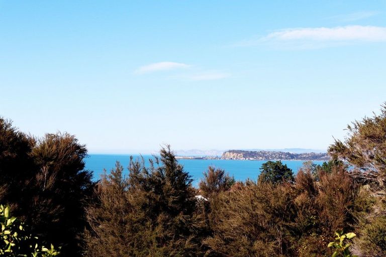 Photo of property in 21 Heipipi Drive, Eskdale, Napier, 4182