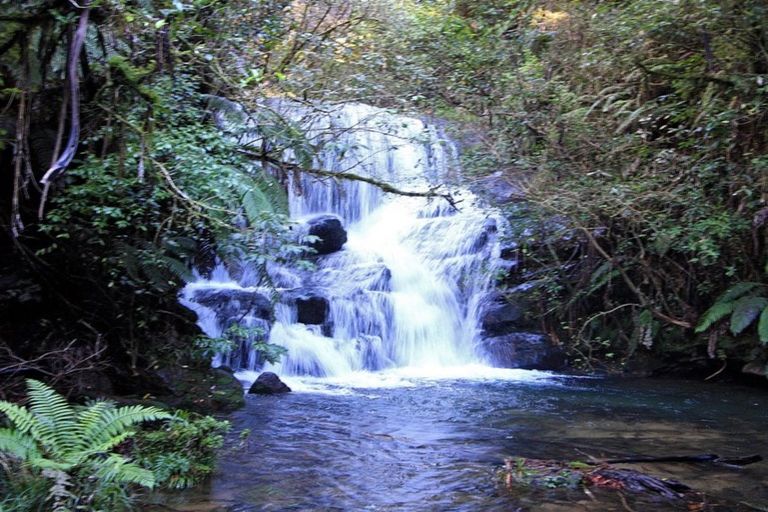 Photo of property in 695d Esdaile Road, Whakamarama, Tauranga, 3180