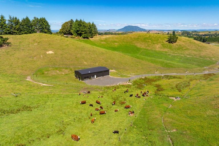 Photo of property in 343 Oruanui Road, Wairakei, Taupo, 3384