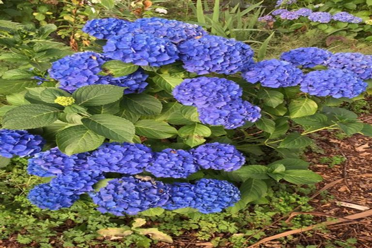 Photo of property in 75 Baberton Street, Tokoroa, 3420