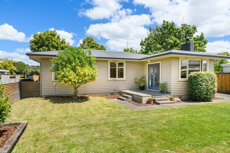 Photo of property in 26 Snowdon Avenue, Terrace End, Palmerston North, 4410
