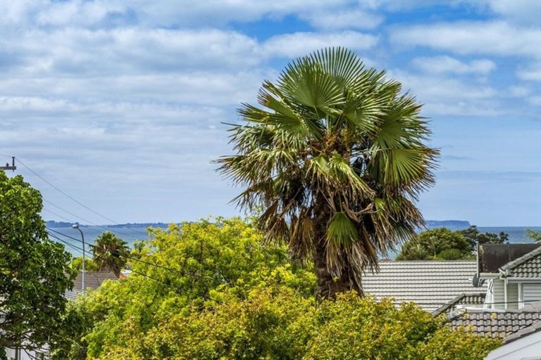Photo of property in 8 Sylvan Park Avenue, Milford, Auckland, 0620