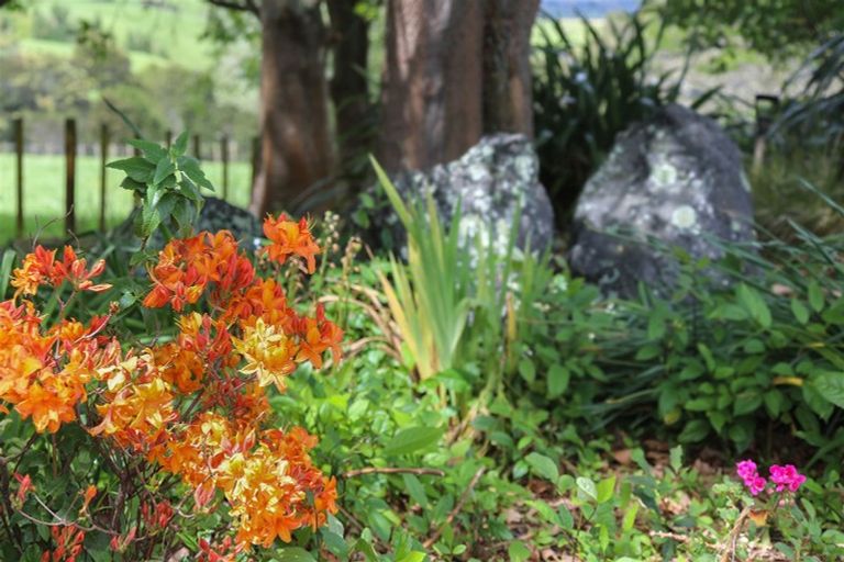 Photo of property in 145 Hall Road, Rangiriri, Te Kauwhata, 3782