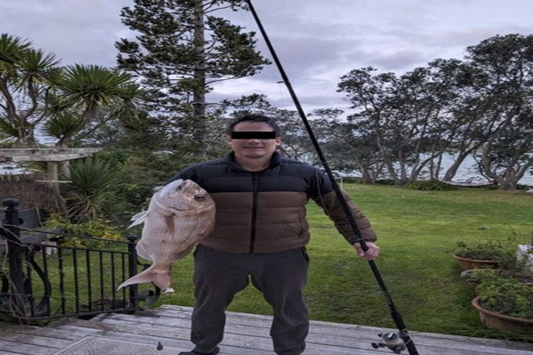 Photo of property in 31 Young Street, Mahurangi East, Warkworth, 0982