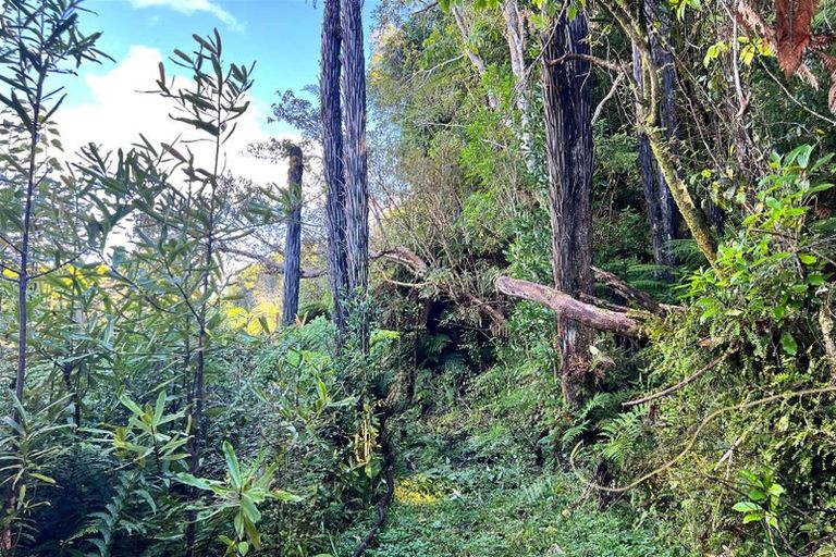 Photo of property in 754 Rutherglen Road, Marsden, Greymouth, 7872