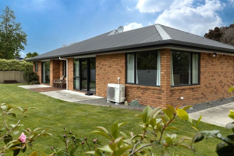 Photo of property in 22a Alma Street, Renwick, 7204