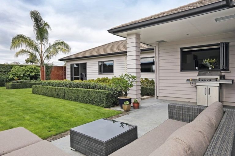 Photo of property in 6 Lardon Place, Frimley, Hastings, 4120