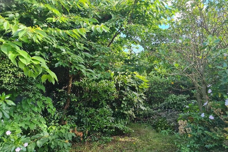 Photo of property in 398 Cambridge Terrace, Naenae, Lower Hutt, 5011