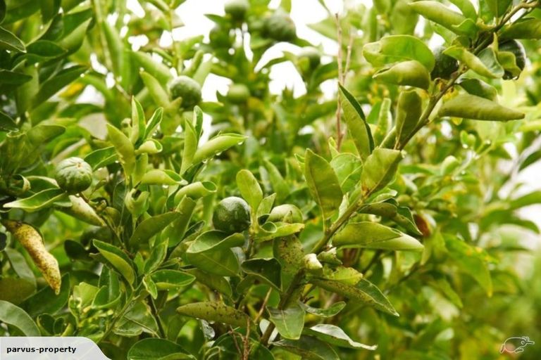 Photo of property in 40 Edkins Road, Kerikeri, 0230