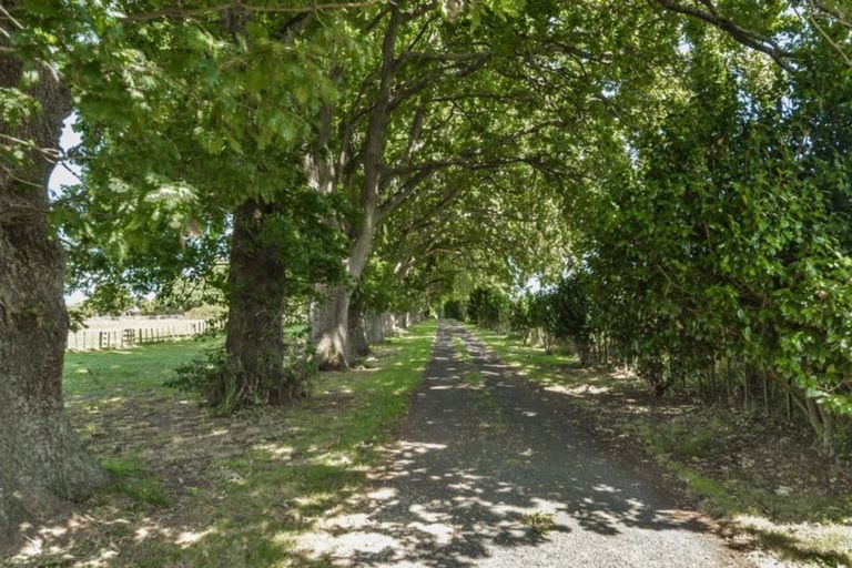 Photo of property in 107 Horrell Road, Morrinsville, 3374
