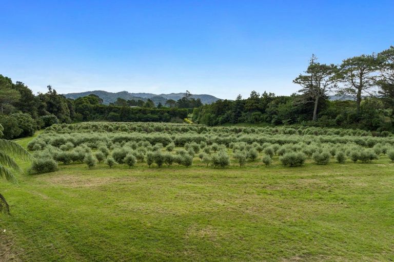 Photo of property in 40 Killen Road, Tahawai, Katikati, 3178