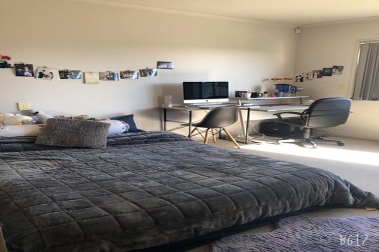 Photo of property in 47 Mandival Avenue, Flat Bush, Auckland, 2019
