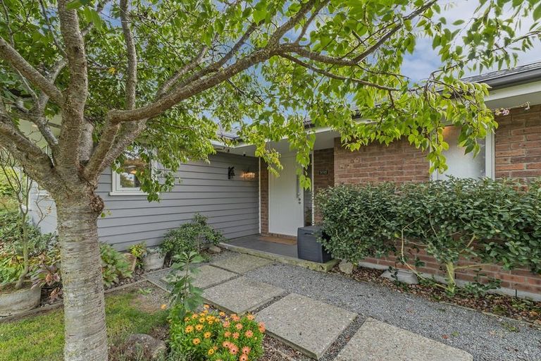 Photo of property in 3 Showground Place, Leeston, 7632