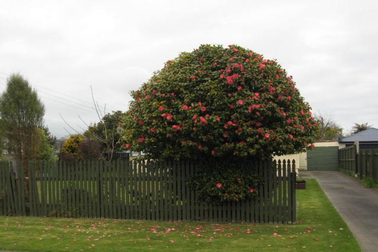 Photo of property in 15 Dudley Street, Levin, 5510