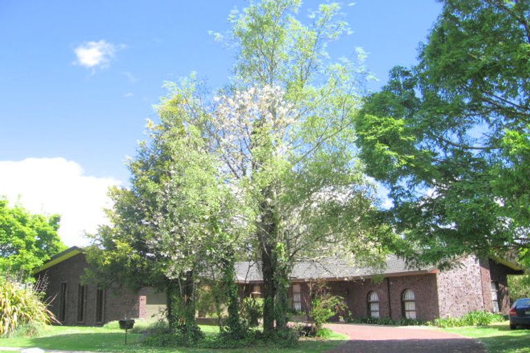 Photo of property in 57 Sheffield Street, Matamata, 3400