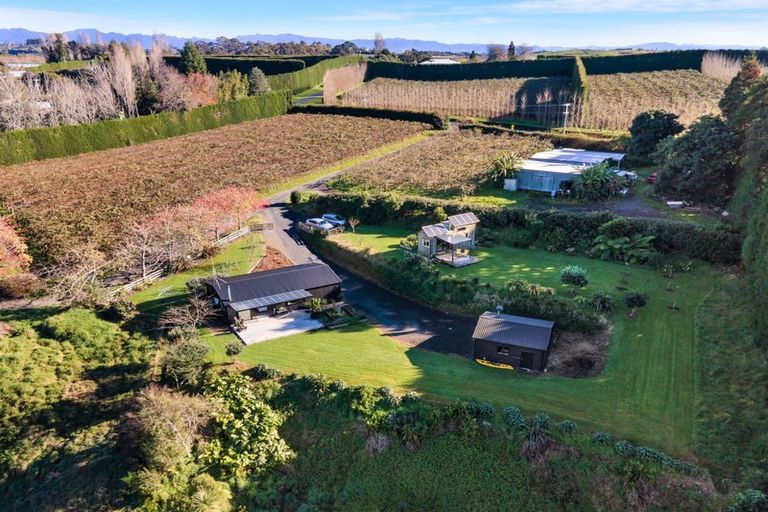 Photo of property in 178 Plummers Point Road, Whakamarama, Tauranga, 3172