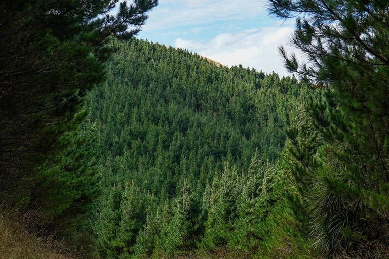 Photo of property in 2/298 Bealey Avenue, Christchurch Central, Christchurch, 8013