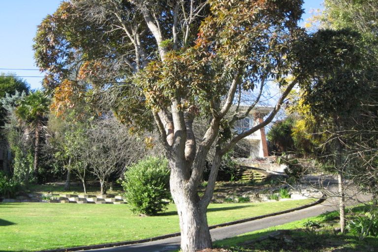 Photo of property in 43 Palmerston Road, Havelock North, 4130