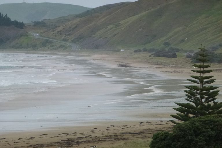 Photo of property in 13c Makorori Beach Road, Makorori, Gisborne, 4073