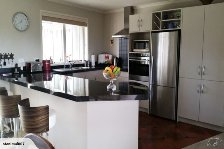 Photo of property in 519 Puniu Road, Te Awamutu, 3800