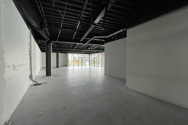 Photo of property in 1 Gallipoli Place, Flat Bush, Auckland, 2019