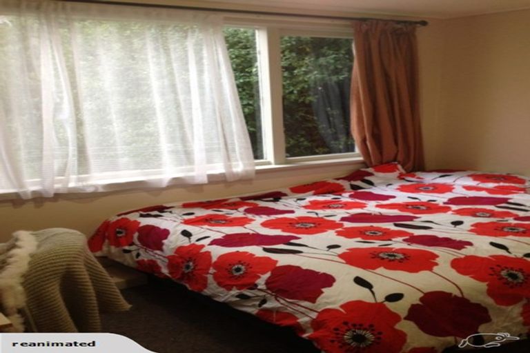 Photo of property in 203 North Road, North East Valley, Dunedin, 9010