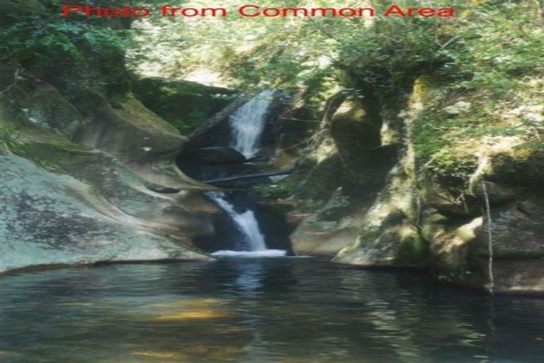 Photo of property in 50c Paul Road, Whenuakite, Whitianga, 3591