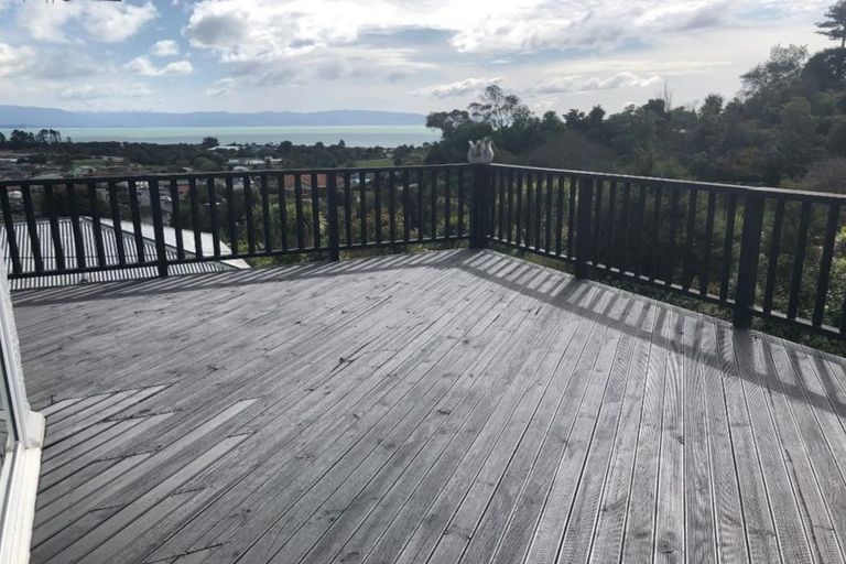 Photo of property in 19 Tamaki Street, Tahunanui, Nelson, 7011