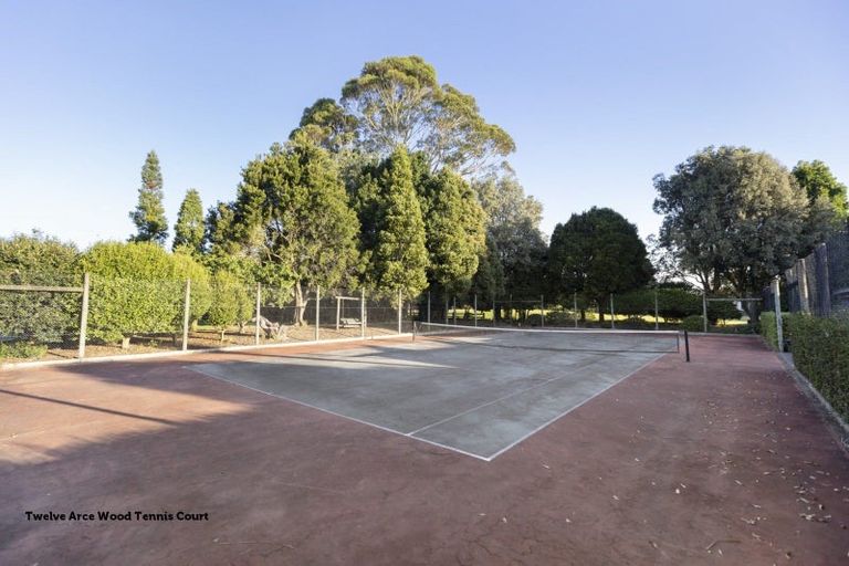 Photo of property in 20 Jarrah Park Drive, Pyes Pa, Tauranga, 3112