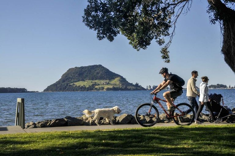 Photo of property in 529a Otumoetai Road, Matua, Tauranga, 3110