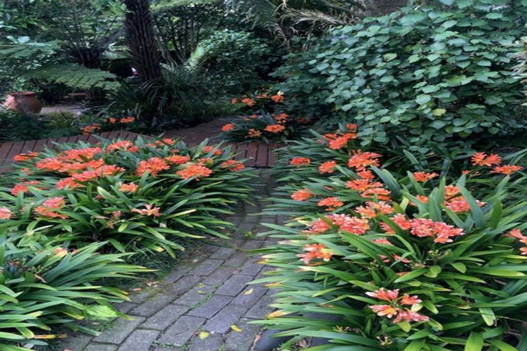 Photo of property in 13 Pamir Place, Welcome Bay, Tauranga, 3112