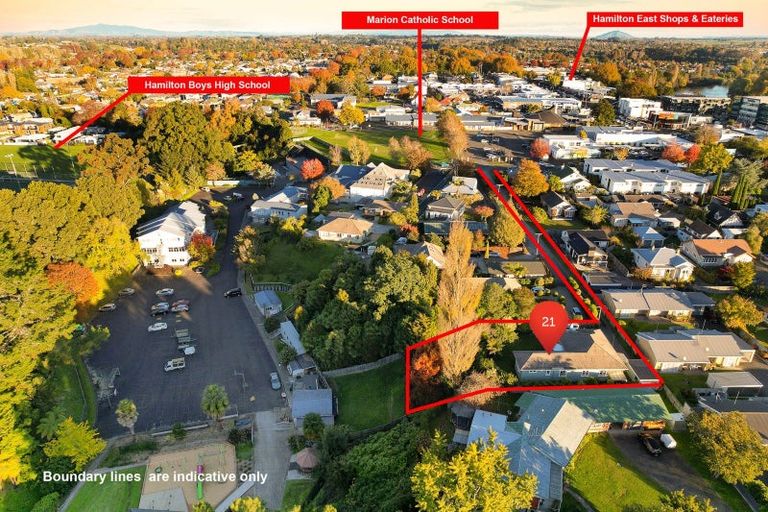 Photo of property in 21 Beale Street, Hamilton East, Hamilton, 3216