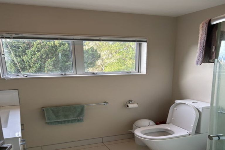 Photo of property in 1b Anderson Terrace, Mount Cook, Wellington, 6021